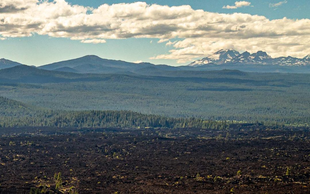 Newberry Lava Love