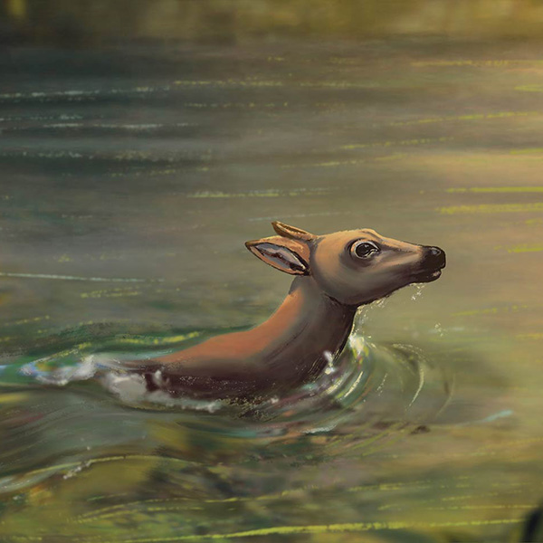 Morning Swim