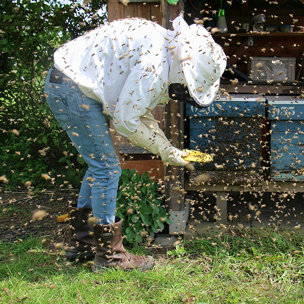 Telling the Bees