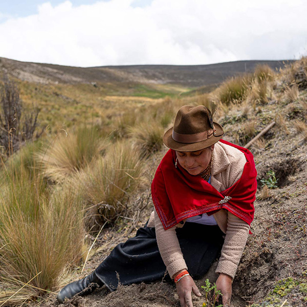 Grit and Gumption: Bringing Back Ecuador’s Forests