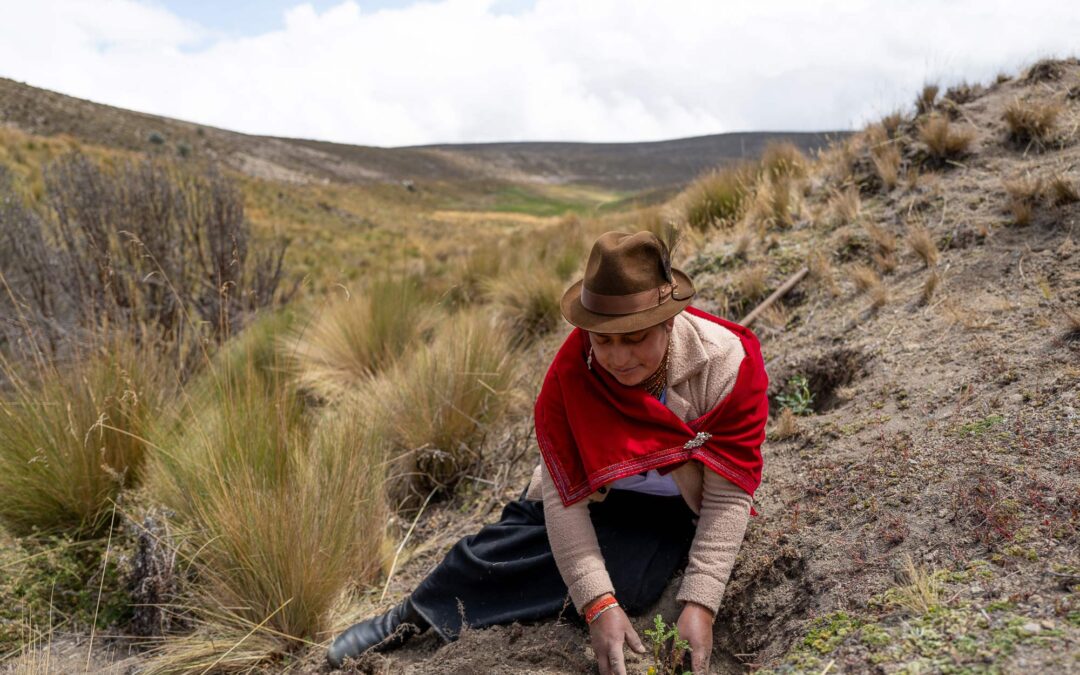 Grit and Gumption: Bringing Back Ecuador’s Forests